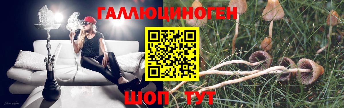 Галлюциногенные грибы прущие грибы Сочи