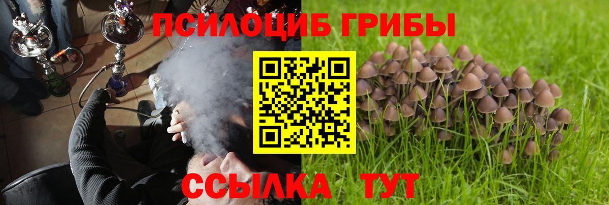 купить   Псилоцибиновые грибы Psilocybine cubensis  Псилоцибиновые грибы Psilocybe  Вход с VPN  Сочи 